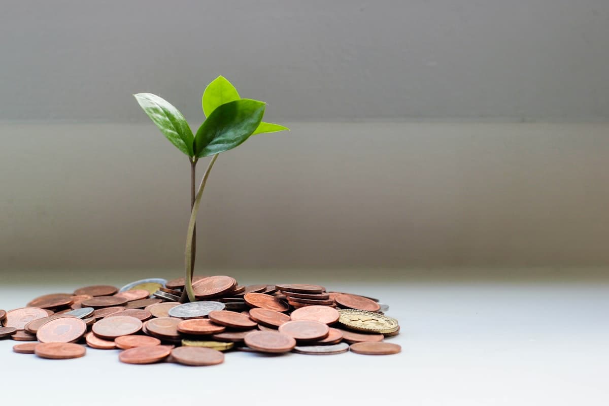 From Cashless to Cash-Lite: Nigeria's Payment Revolution